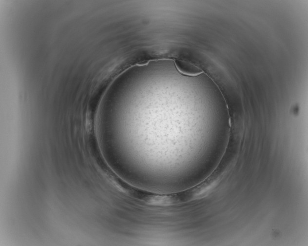 X0000091950085200709131212