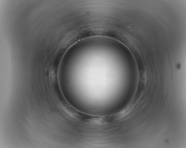 X0000091950086200709131212