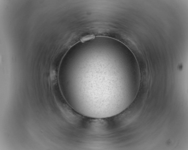 X0000091950087200709131212