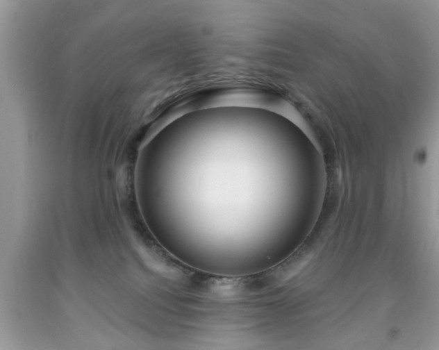 X0000091950088200709131212