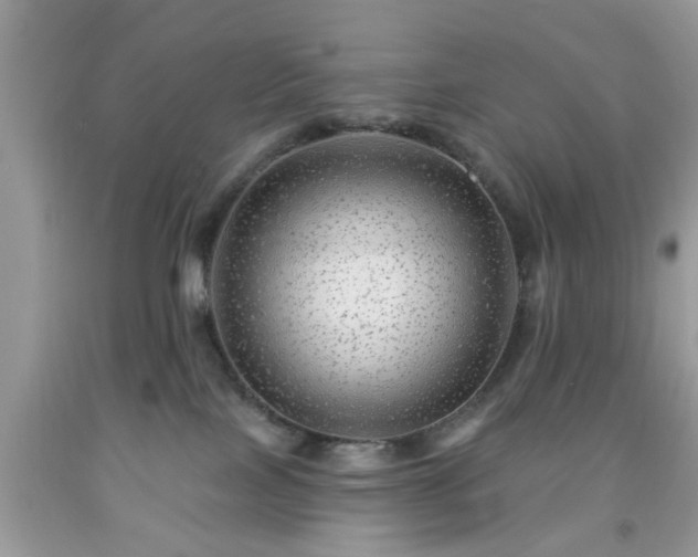 X0000091950089200709131212