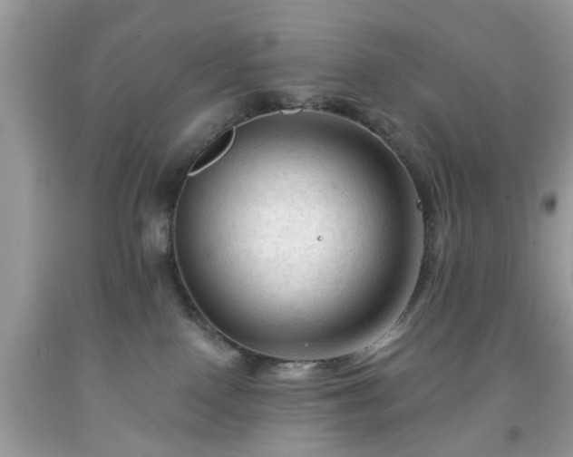 X0000091950090200709131212