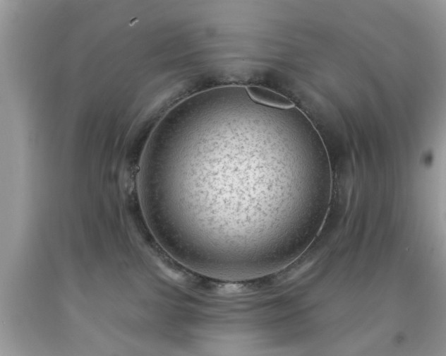 X0000091950091200709131212