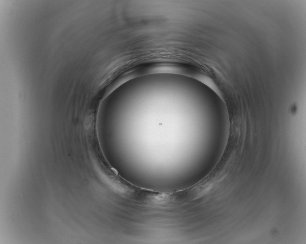 X0000091950092200709131212