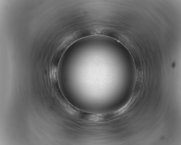 X0000091950094200709131212