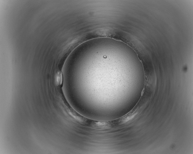 X0000091950095200709131212