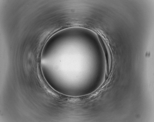 X0000091950097200709131212