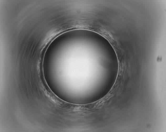 X0000091950098200709131212