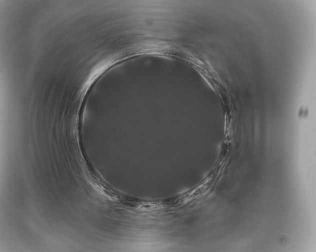 X0000091950099200709131212