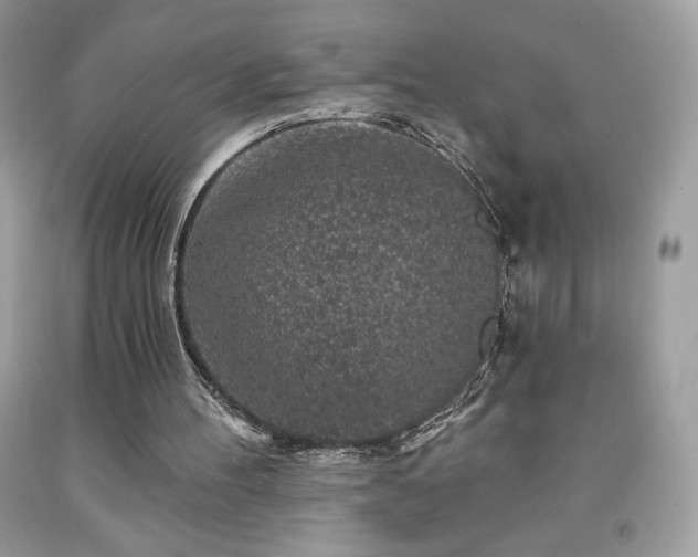 X0000091950100200709131212