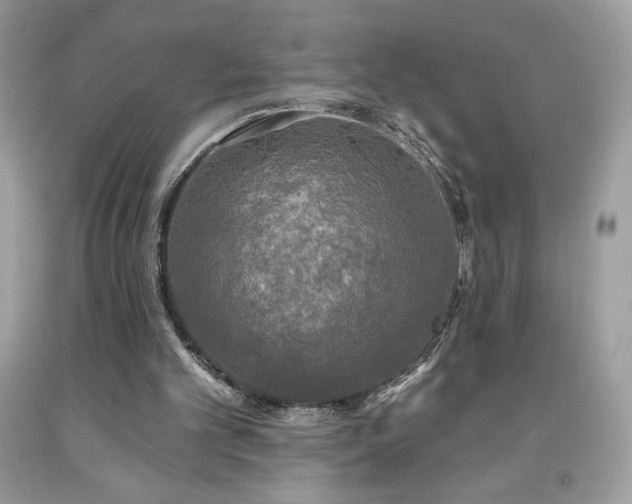 X0000091950101200709131212