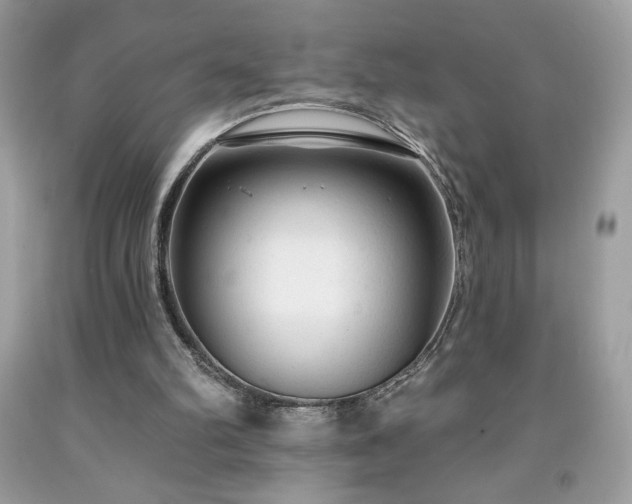 X0000091950102200709131212