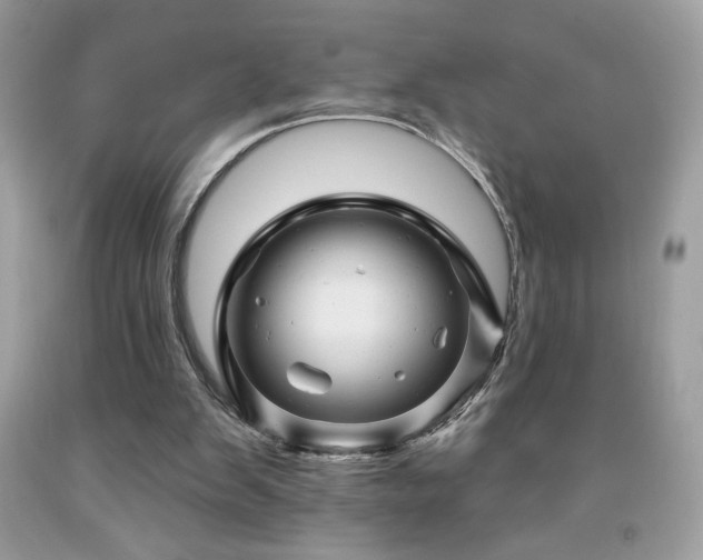 X0000091950103200709131212