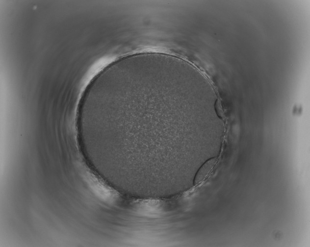 X0000091950104200709131212