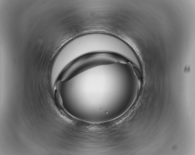 X0000091950105200709131212