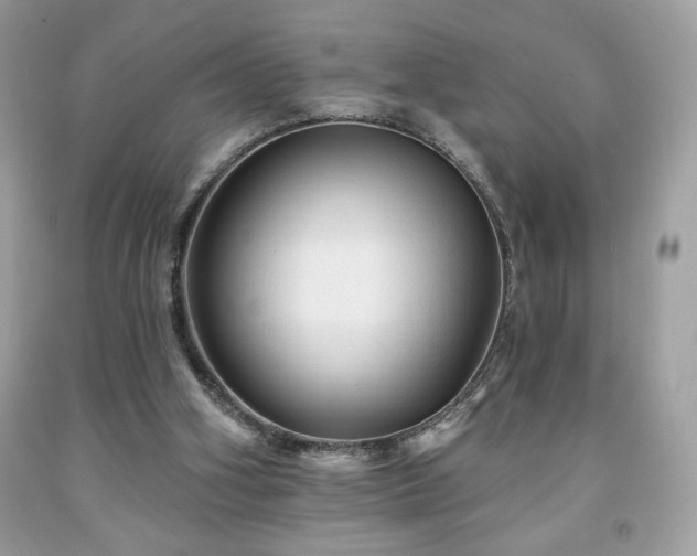 X0000091950106200709131212