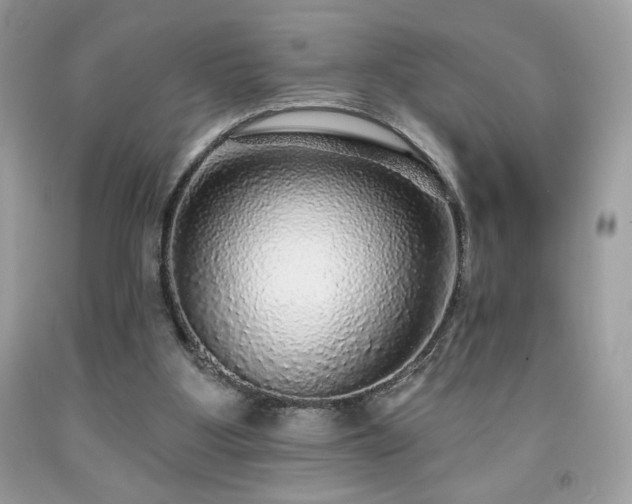 X0000091950107200709131212