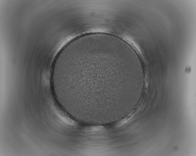 X0000091950108200709131212