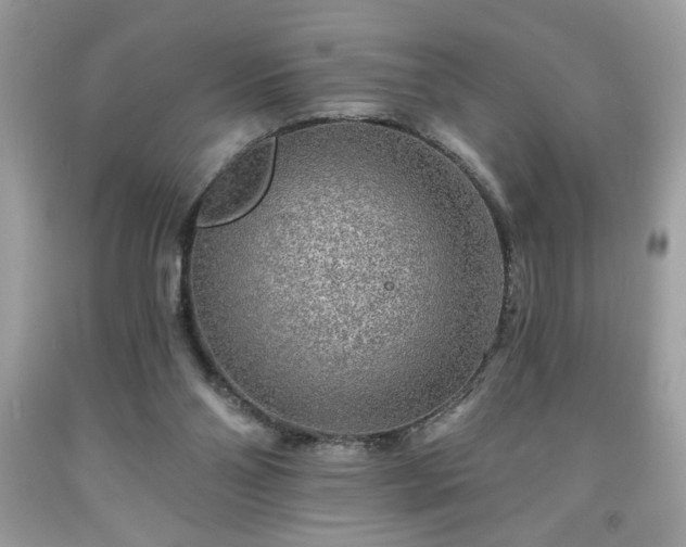 X0000091950110200709131212