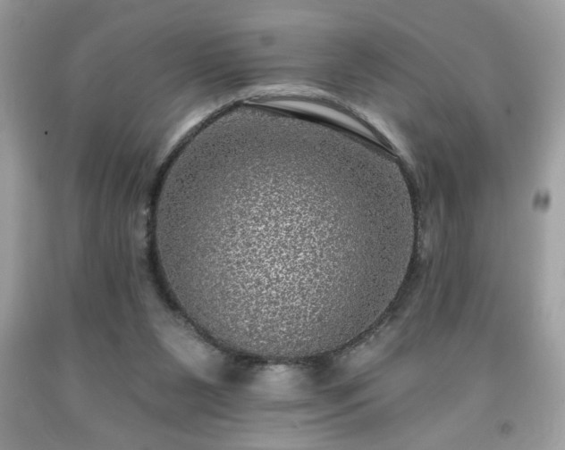 X0000091950111200709131212