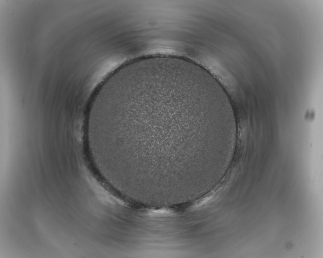 X0000091950112200709131212