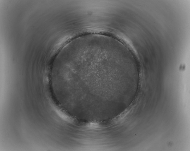 X0000091950114200709131212