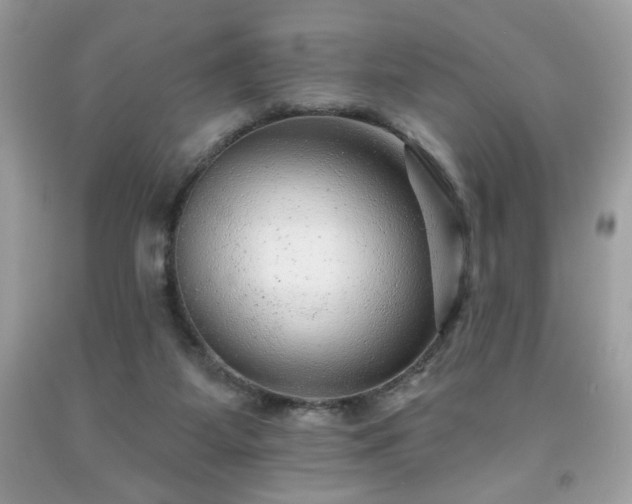 X0000091950115200709131212