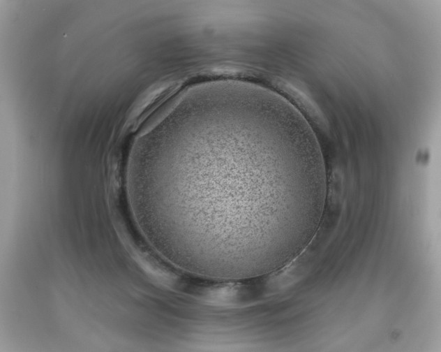 X0000091950116200709131212