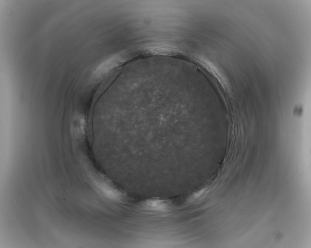 X0000091950117200709131212