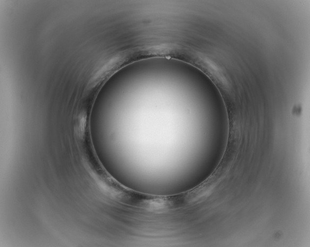 X0000091950118200709131212