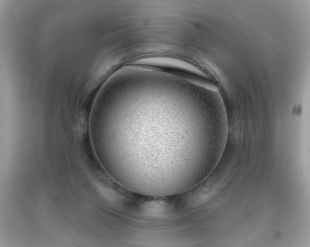 X0000091950119200709131212