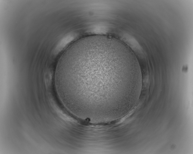 X0000091950120200709131212