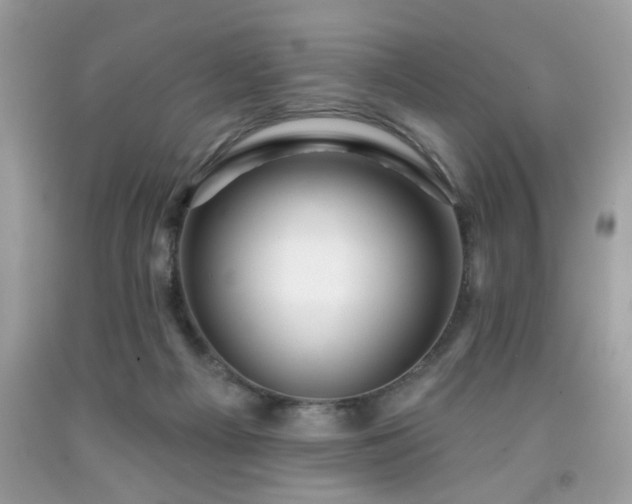 X0000091950121200709131212