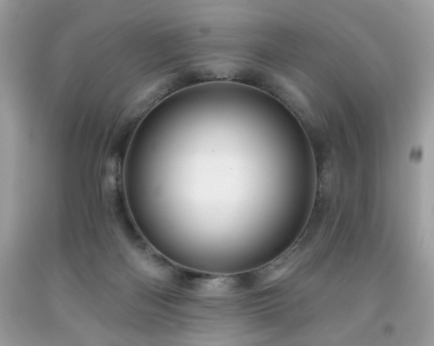 X0000091950122200709131212