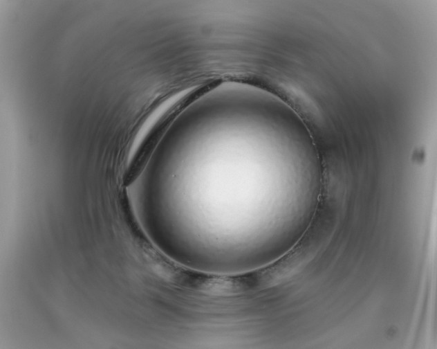 X0000091950123200709131212