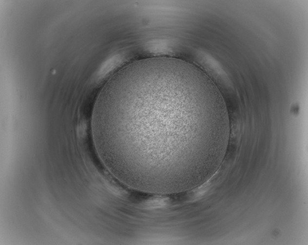 X0000091950124200709131212