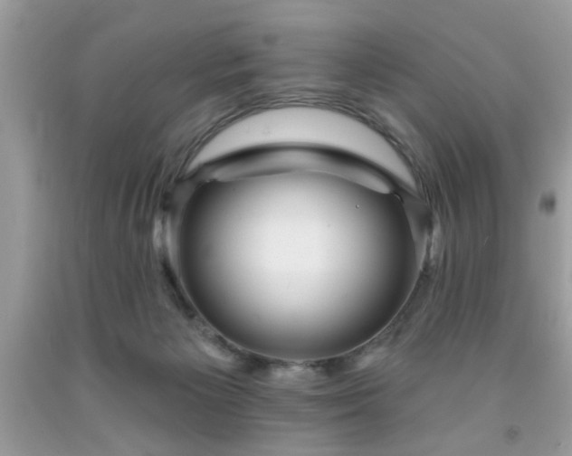 X0000091950125200709131211