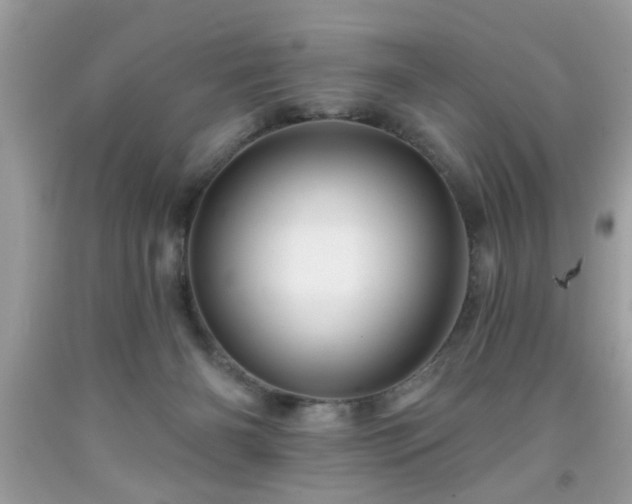 X0000091950126200709131211