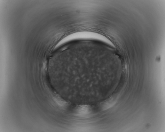 X0000091950127200709131211