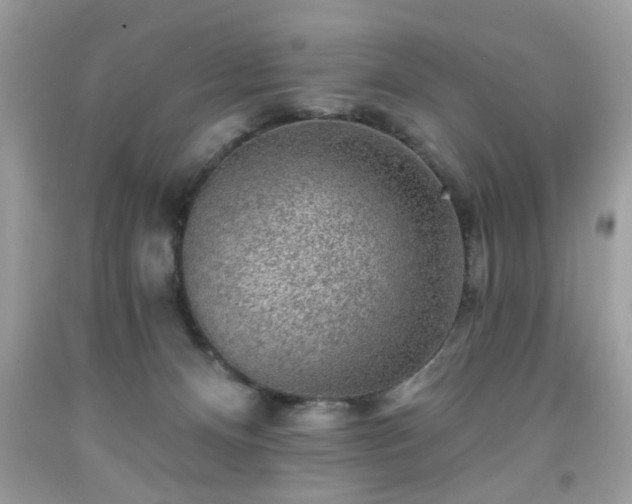 X0000091950128200709131211