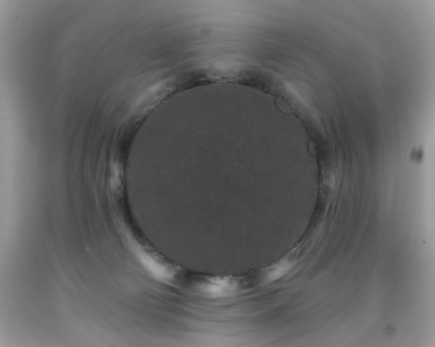 X0000091950130200709131211