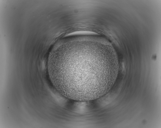 X0000091950131200709131211