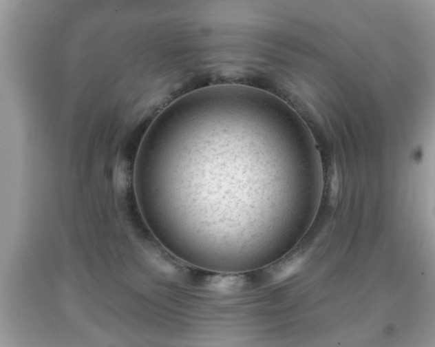 X0000091950135200709131211