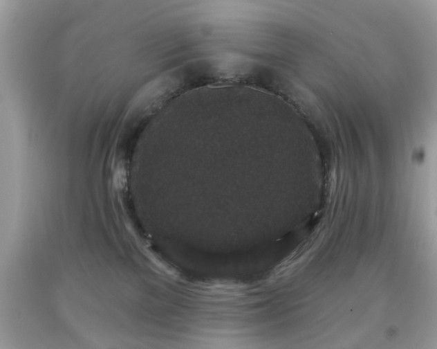 X0000091950137200709131211