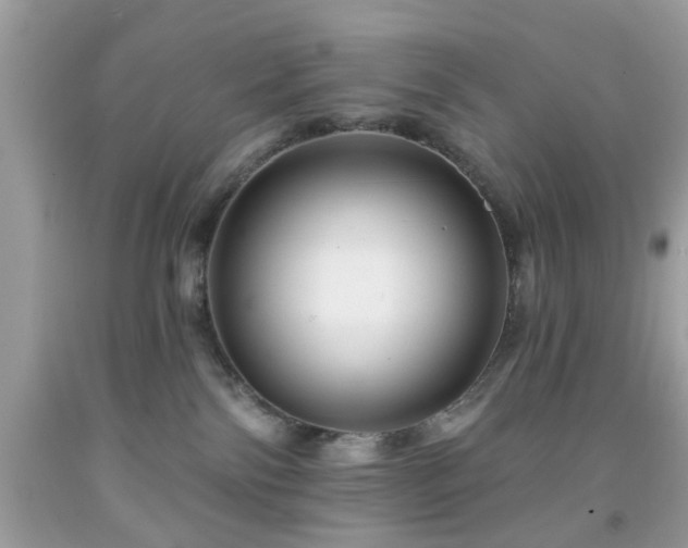 X0000091950138200709131211