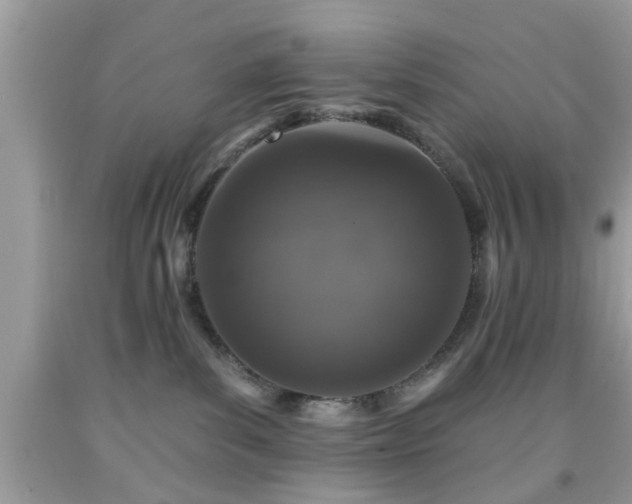 X0000091950139200709131211