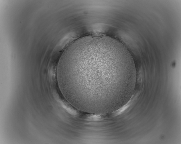 X0000091950140200709131211