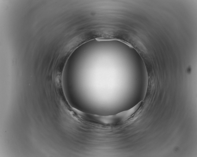 X0000091950141200709131211