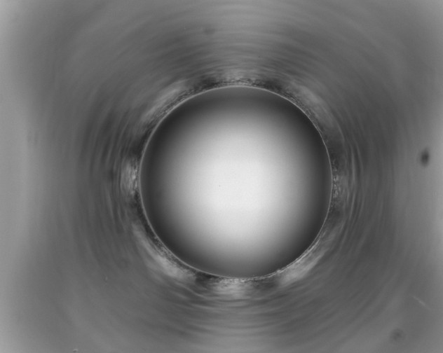 X0000091950142200709131211