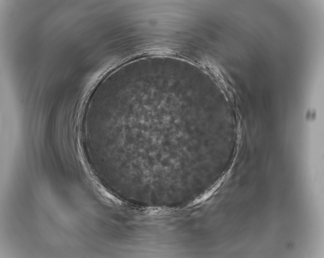 X0000091950145200709131211